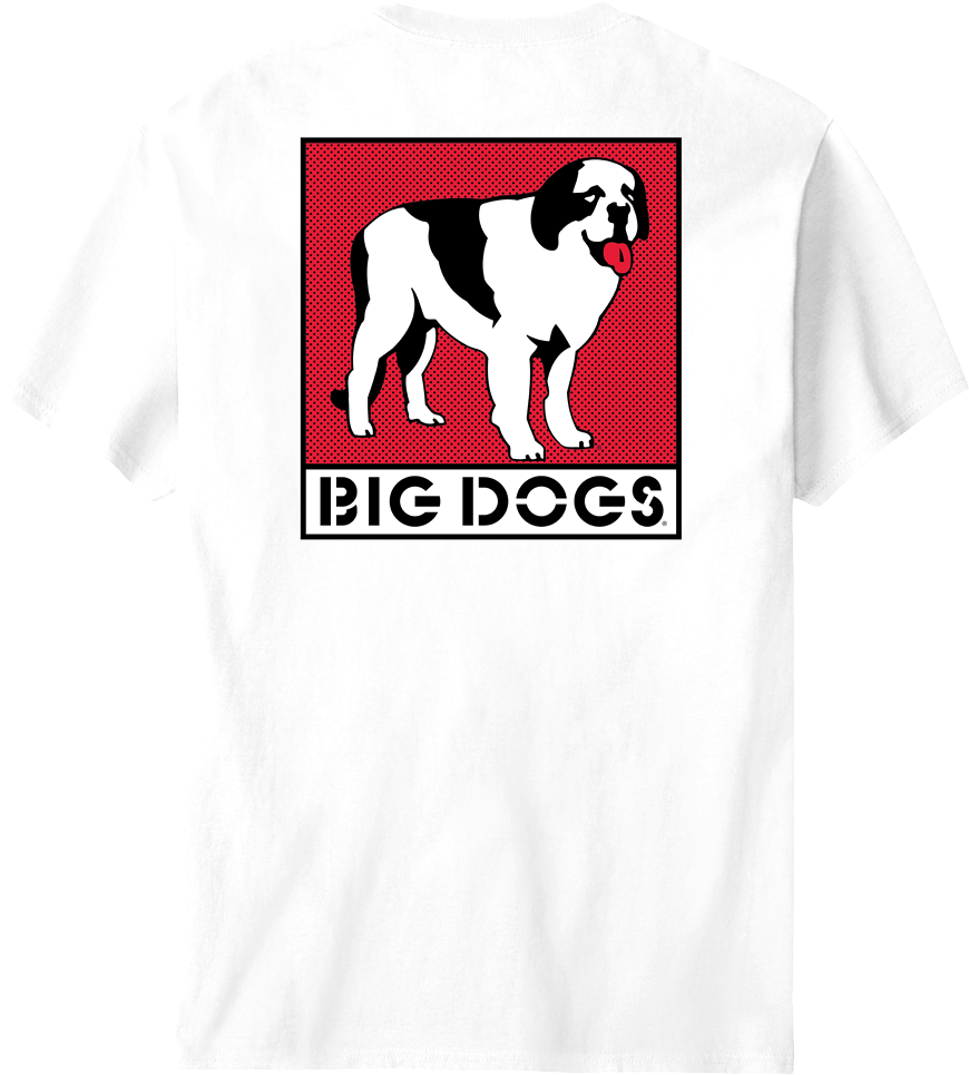 Box Logo Red T-shirt – Big Dogs