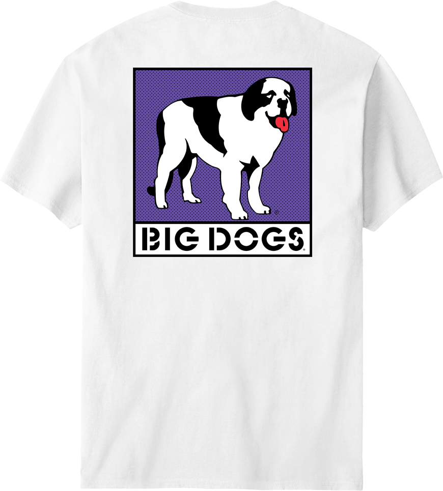 Box Logo Purple T-shirt – Big Dogs
