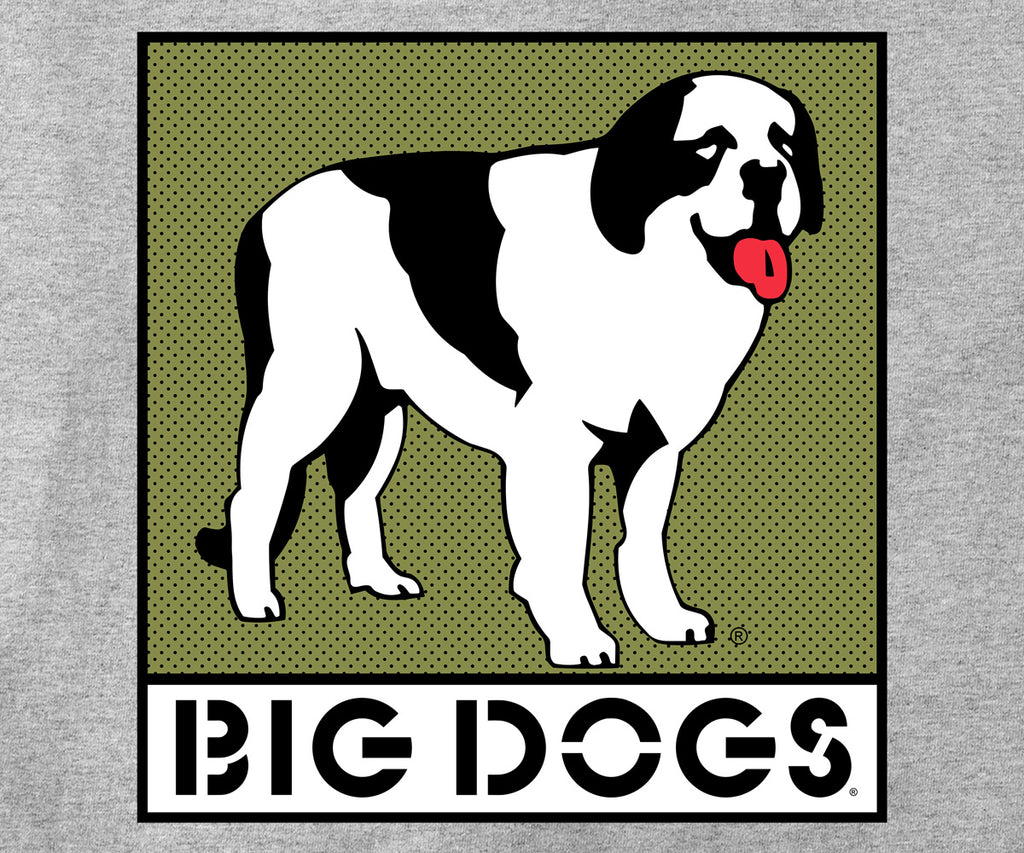 Box Logo Olive T-shirt – Big Dogs