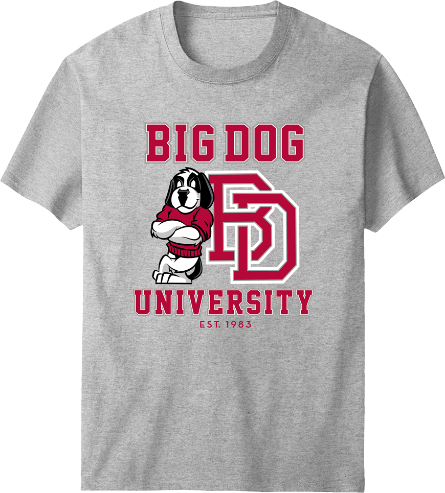D＆G HIPHOP Tシャツ BIGロゴ S グレー Bd University Red Gray T-shirt – Big Dogs