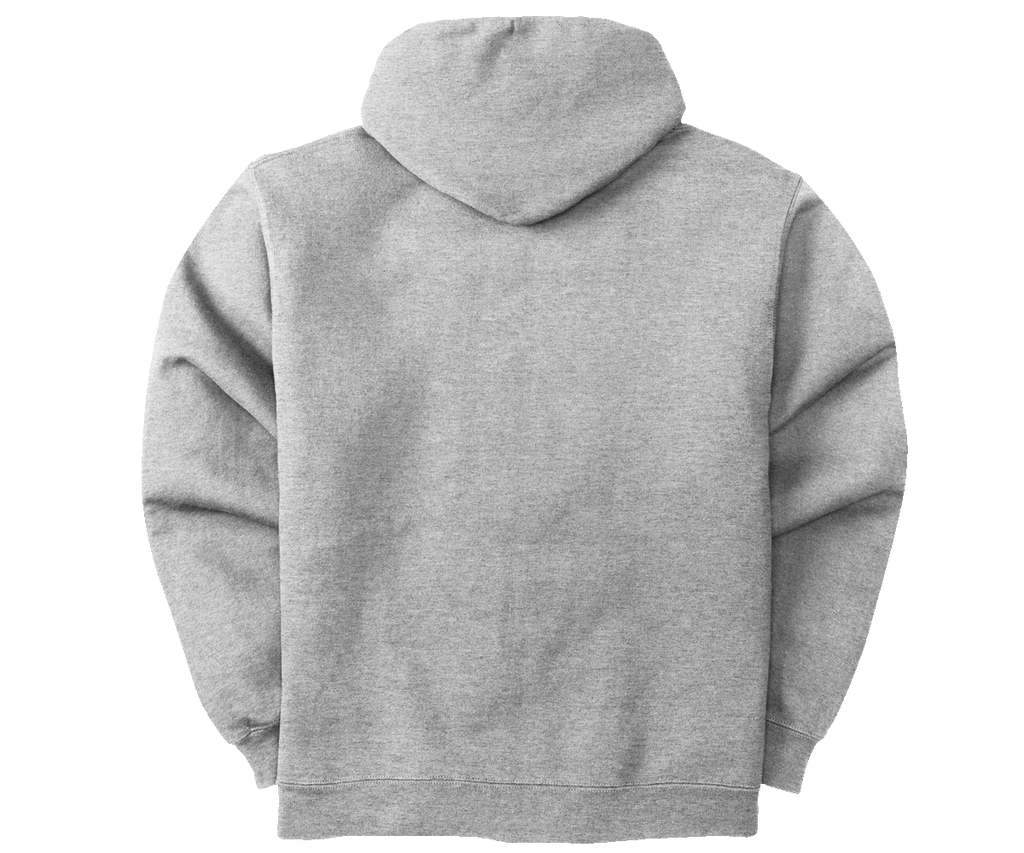 French Terry Fleece Embroidered Hoodie – Big Dogs