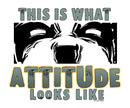 This Is What Attitude Looks Like T-Shirt