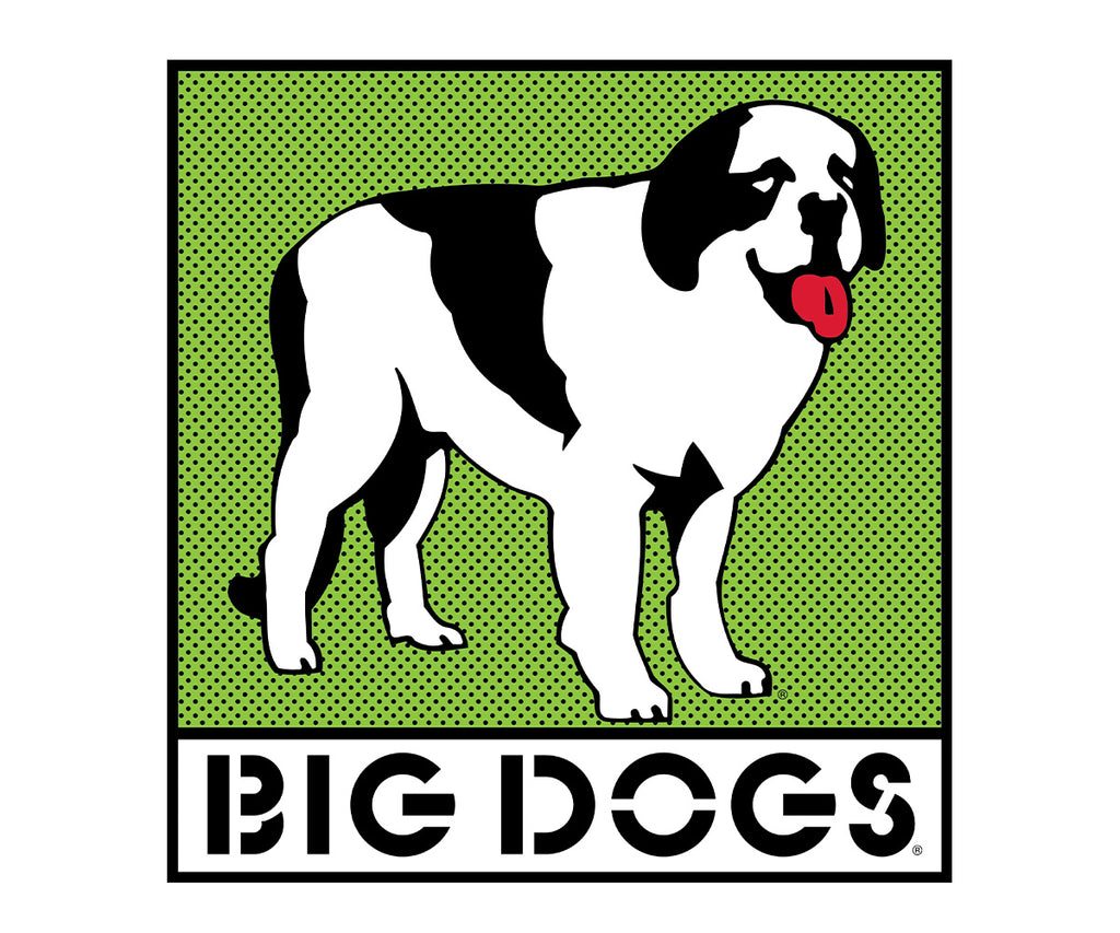 Box Logo Lime T-shirt – Big Dogs