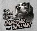 Handsome And Brilliant T-Shirt