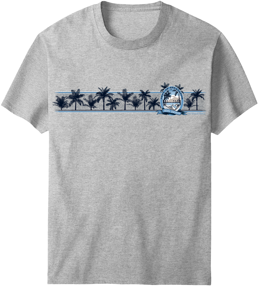 Relaxation Chest Stripe T-Shirt – Big Dogs