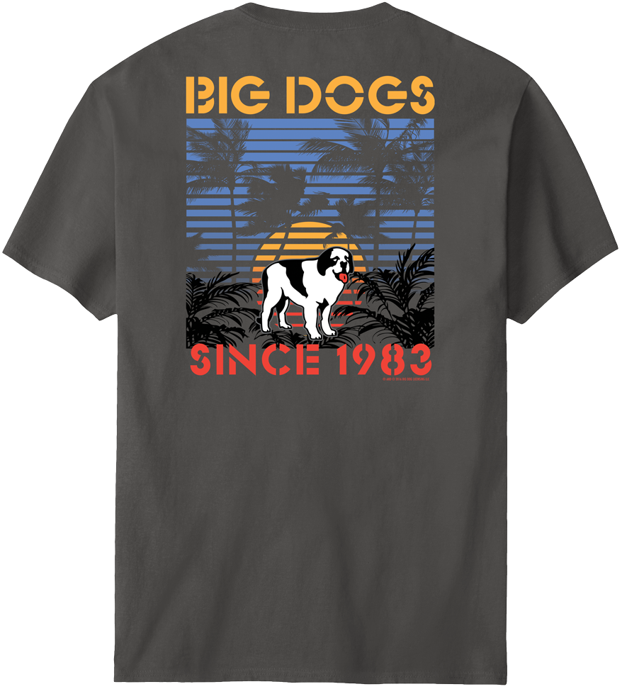 Sunset Stripe T-Shirt – Big Dogs
