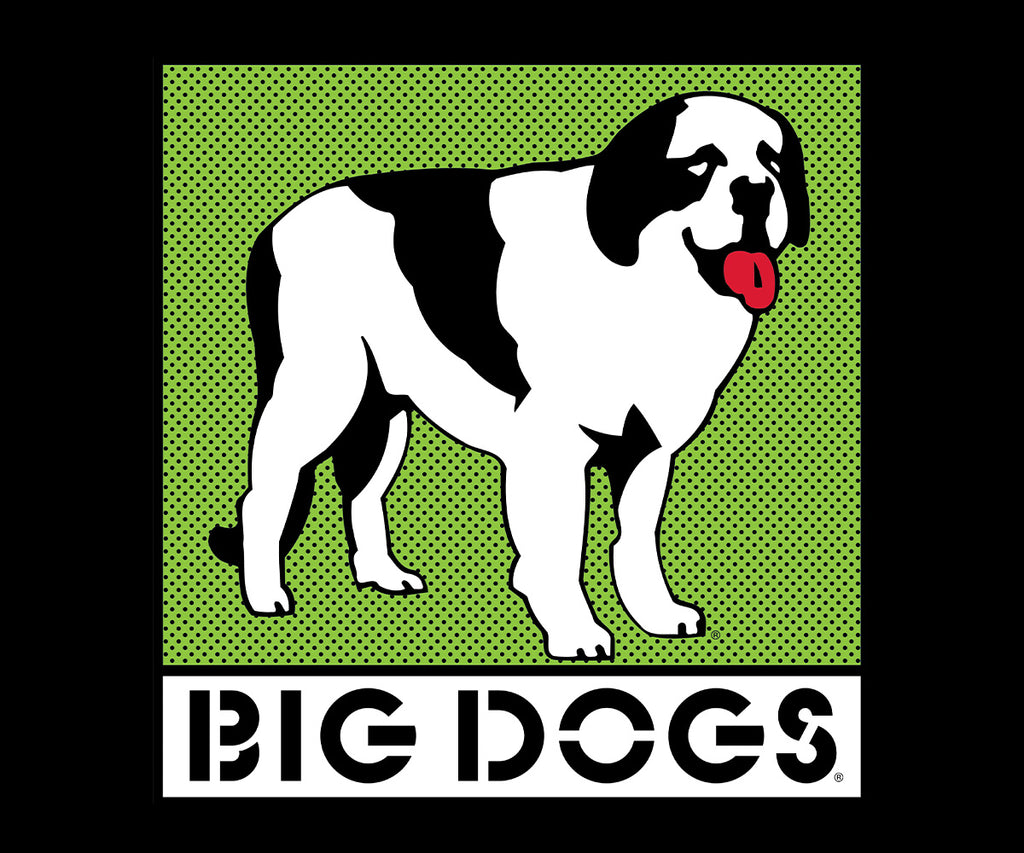 Box Logo Lime T-shirt – Big Dogs