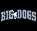 Big Dogs Attitude Gold Medal Hoodie