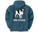 Big Dog Logo Graphic Hoodie