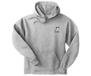 The Rex Files Graphic Hoodie