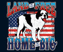 Land of the Big Graphic Hoodie