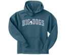 Word Mark Graphic Hoodie