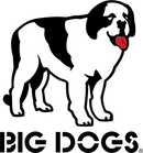 Solid Big Dog Lounge Pants
