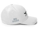 Running Dog Structured Twill Cap