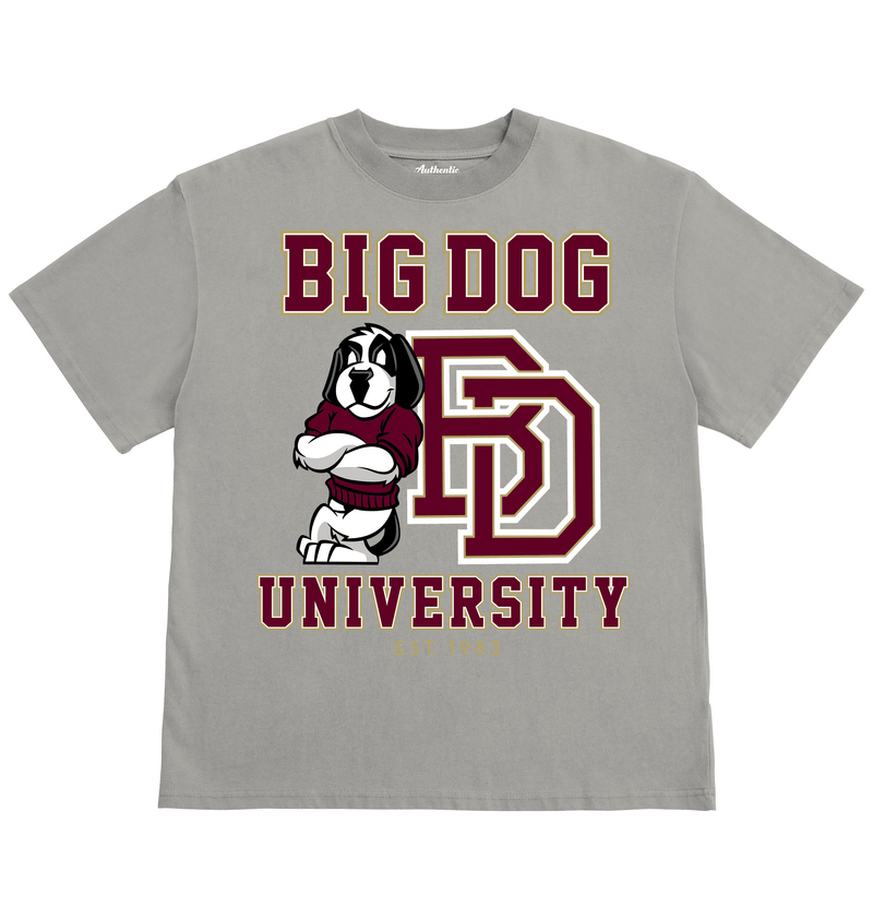 Bd University Burgundy Gold T-shirt – Big Dogs