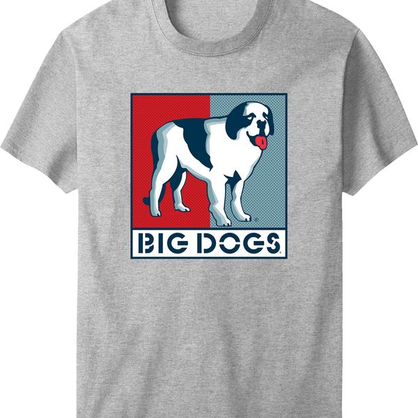 Presidential Box Logo T-shirt – Big Dogs
