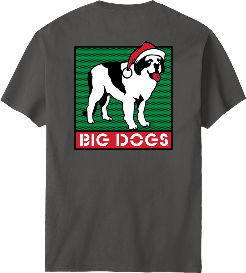 Box Logo Holiday T-shirt