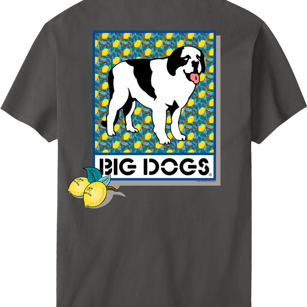 STUDIO SEVEN Dog Photo LS Tee Mサイズ 1102-99999-0701-022-1_6926d7f7