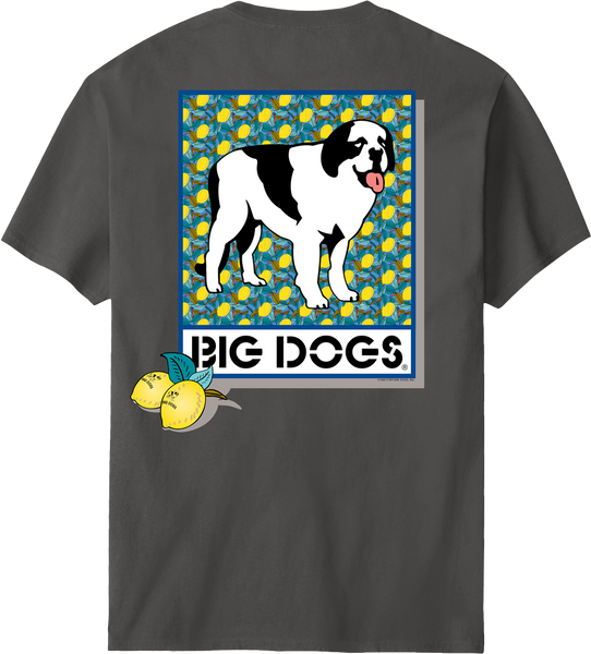 STUDIO SEVEN Dog Photo LS Tee Mサイズ TEE LS｜全商品 | STUDIO SEVEN (スタジオ セブン)