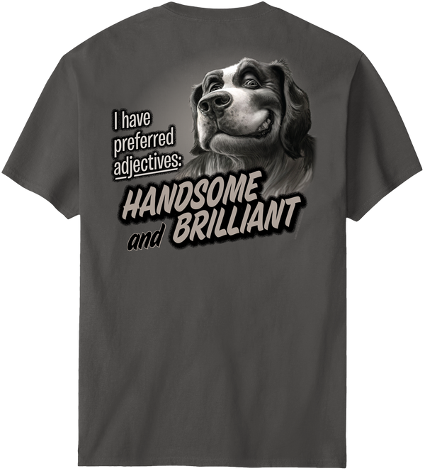 Handsome And Brilliant T-Shirt