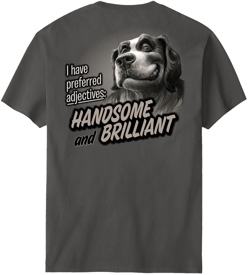 Handsome And Brilliant T-Shirt
