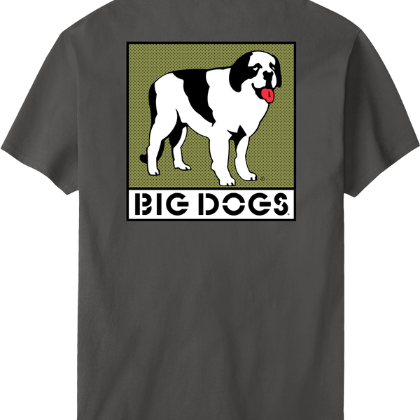Box Logo Olive T-shirt – Big Dogs