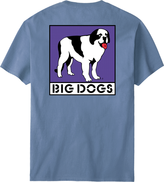 Box Logo Purple T-shirt – Big Dogs