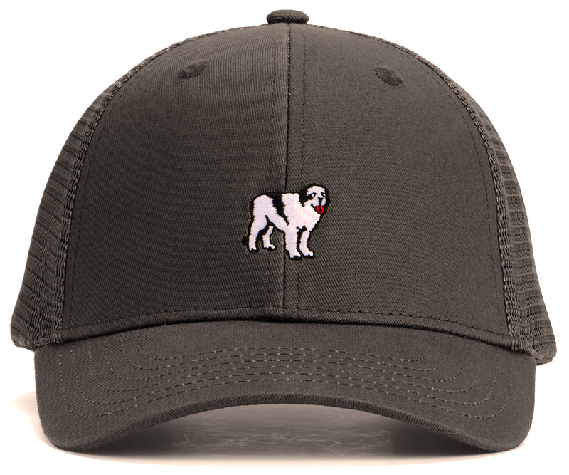 Icon Trucker Hat