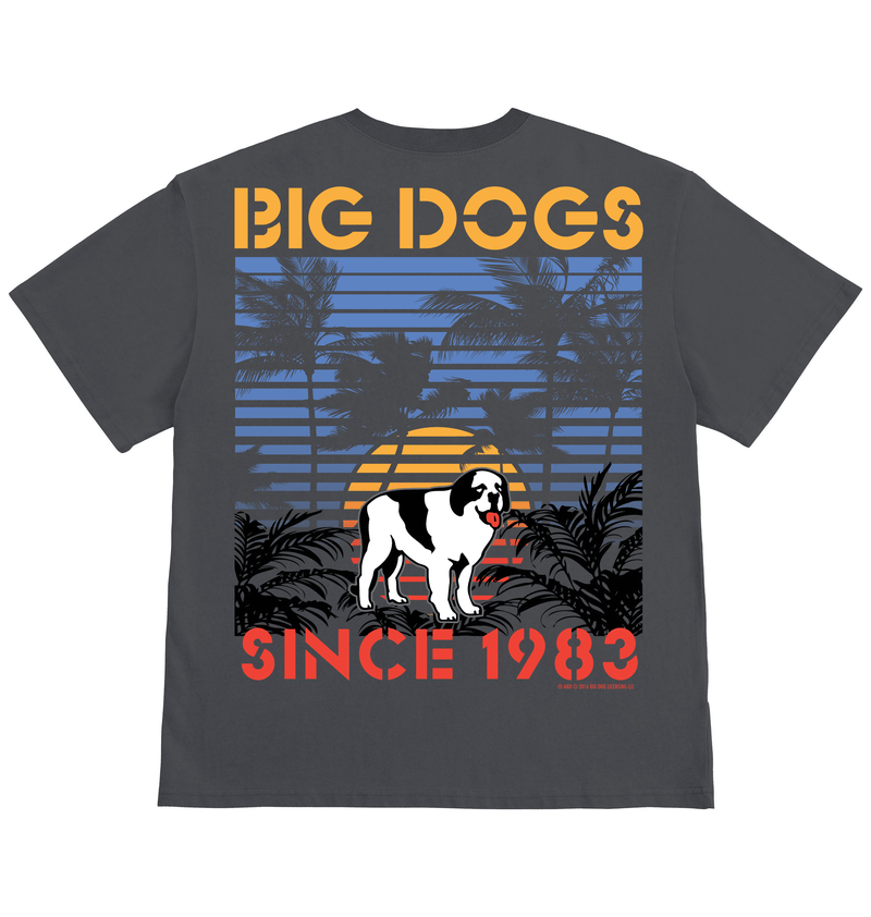 Sunset Stripe T-Shirt – Big Dogs