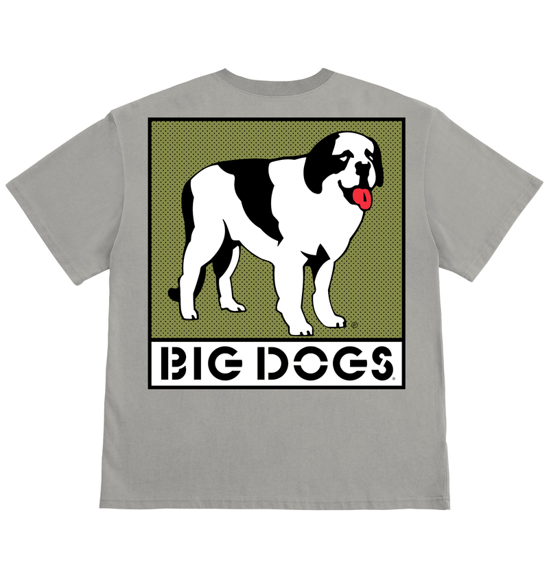 Box Logo Olive T-shirt – Big Dogs