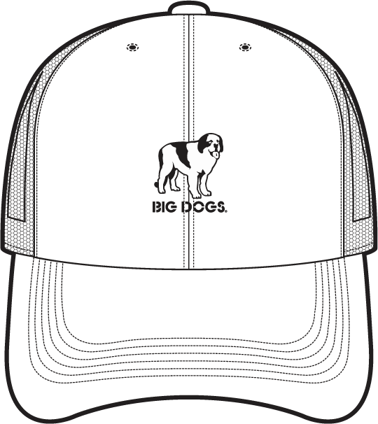 bigdogs ビッグドッグス プリントtシャツ デッドストック usa