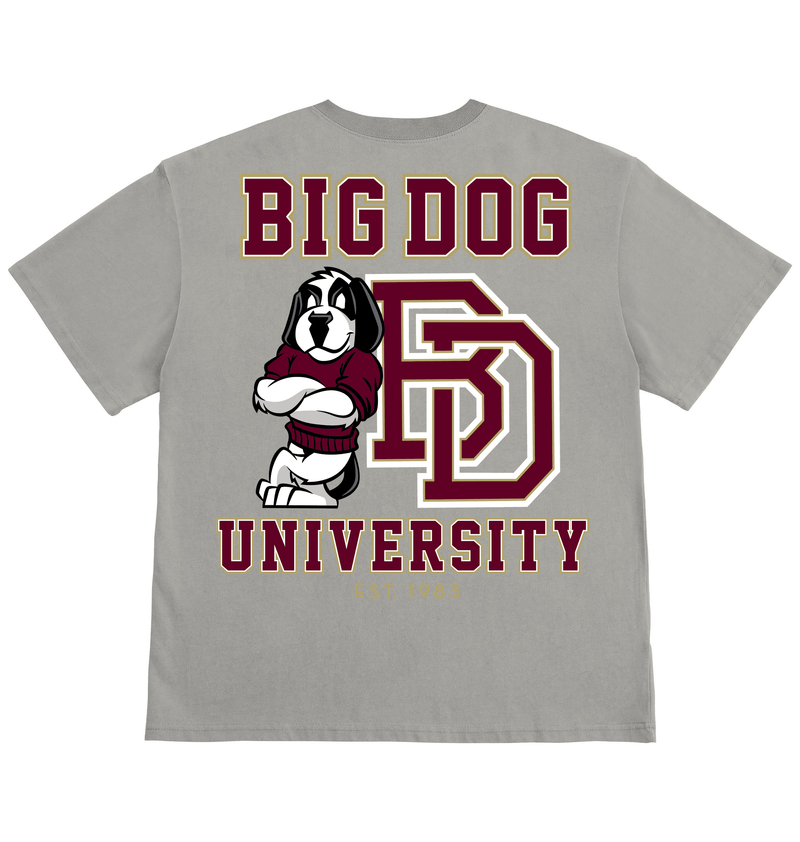 Bd University Burgundy Gold T-shirt – Big Dogs