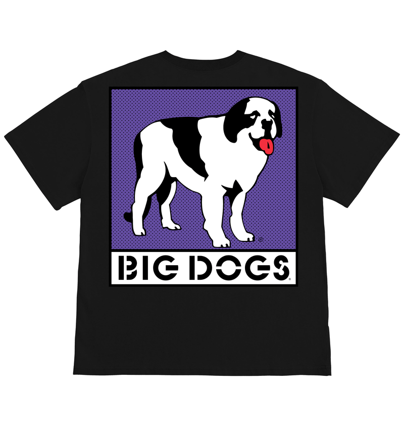 Box Logo Purple T-shirt – Big Dogs
