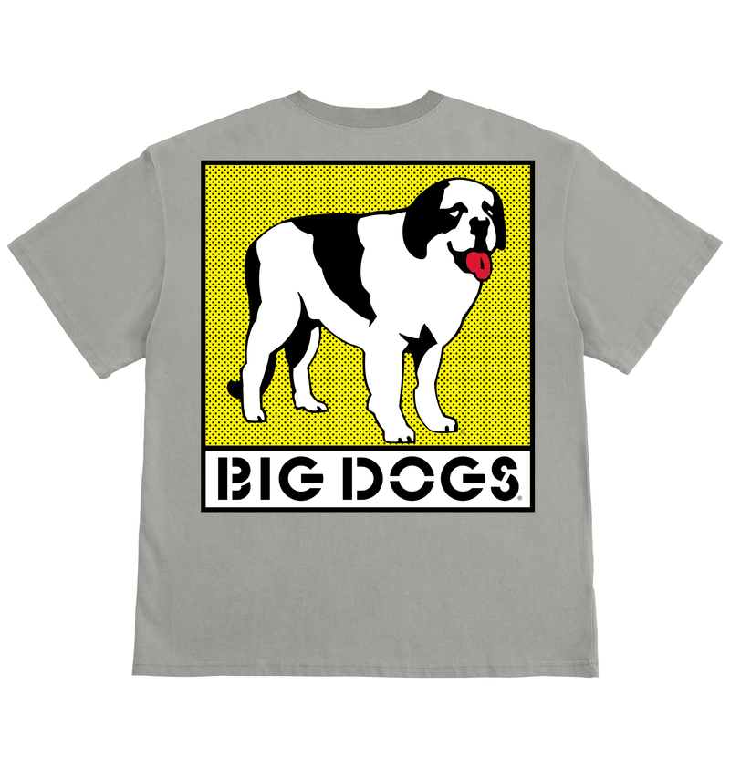 Box Logo Yellow T-shirt – Big Dogs
