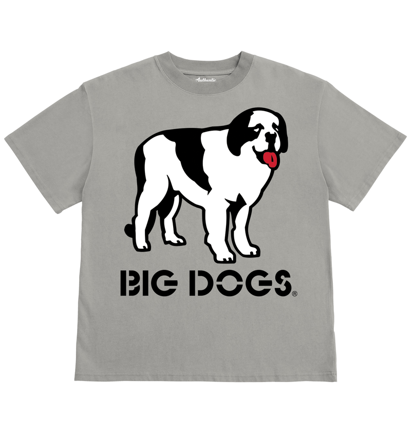 Logo Fade T-Shirt – Big Dogs