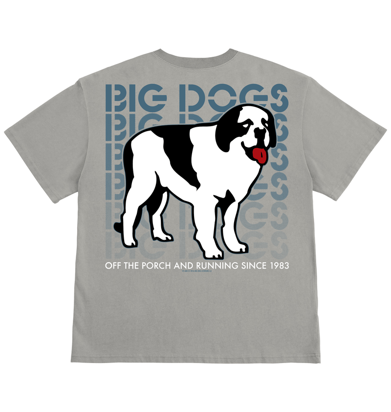 Logo Fade T-Shirt – Big Dogs