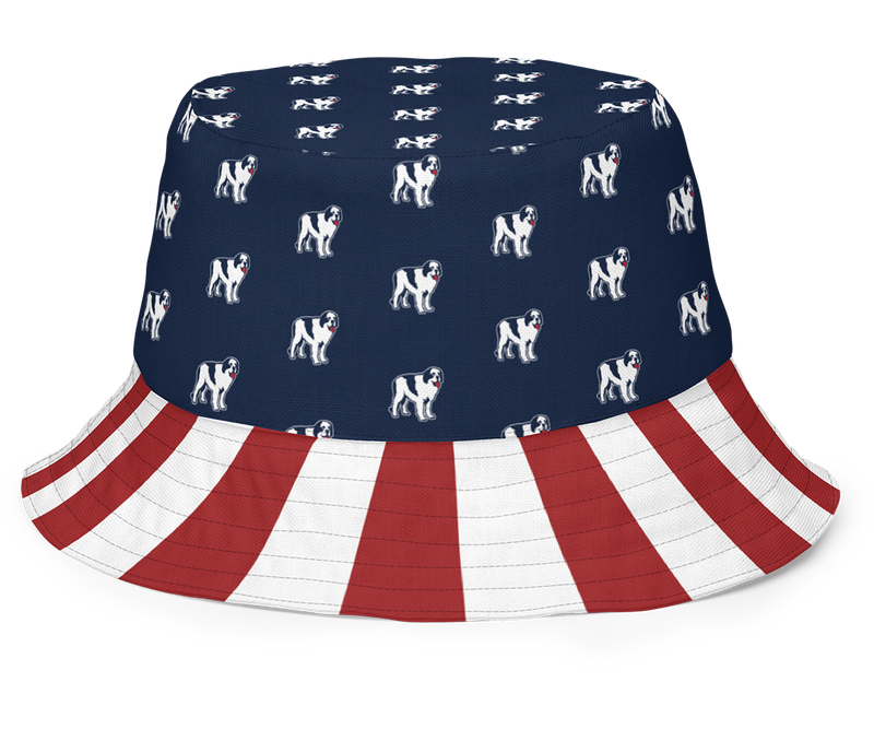 Patriotic top bucket hat