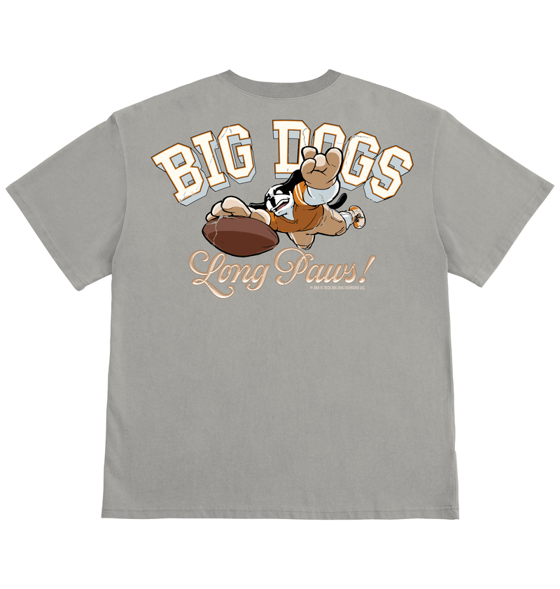BDCF Texas T-shirt – Big Dogs