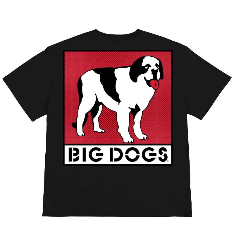 Box Logo Red T-shirt – Big Dogs