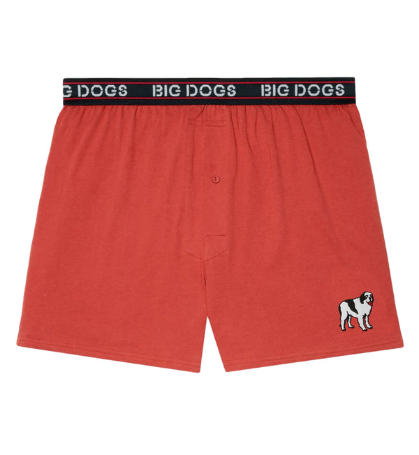 Classic Solid Logo Boxers