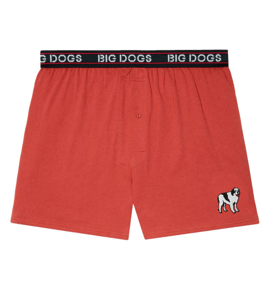 classic_solid_logo_boxers_bric classic_solid_logo_boxers_bric