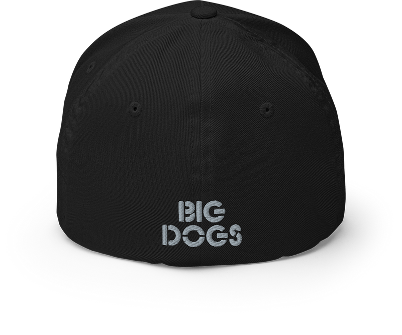 Sunset Logo Structured Twill Cap