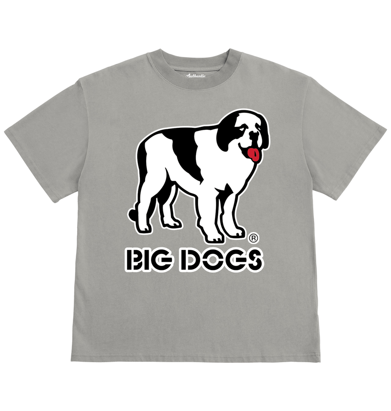 Big Dog Logo Retro T-shirt – Big Dogs