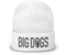 Big Dogs Embroidered Beanie