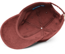 Can I Pet Your Dog corduroy cap