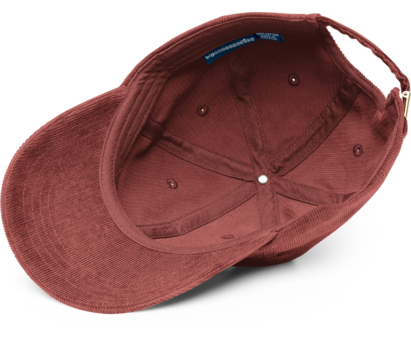 Can I Pet Your Dog corduroy cap