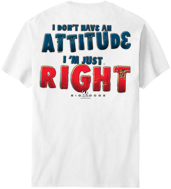 I Do Not Have An Attitude T-Shirt