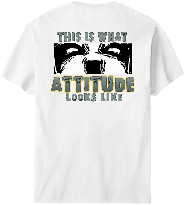 This Is What Attitude Looks Like T-Shirt