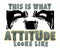 This Is What Attitude Looks Like T-Shirt