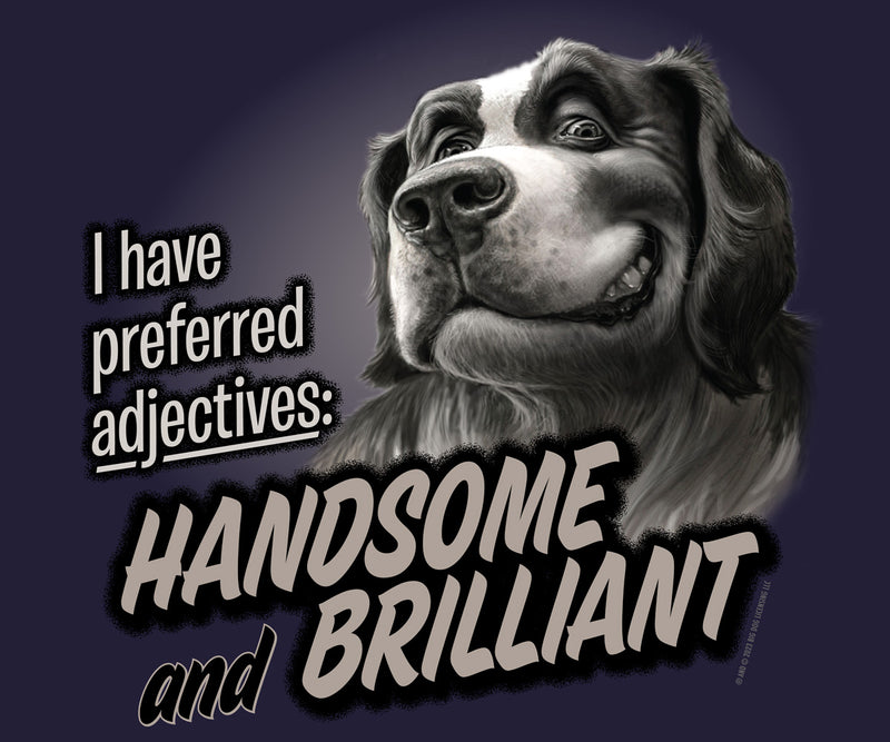 Handsome And Brilliant T-Shirt